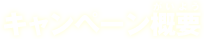 キャンペーン概要